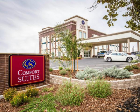 Гостиница Comfort Suites Woodland - Sacramento Airport  Вудленд